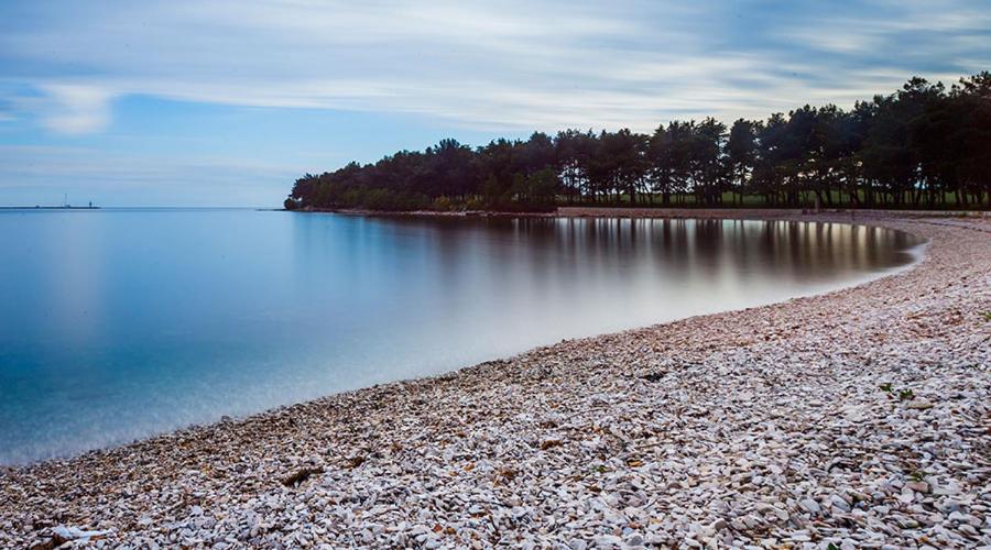 شقة Novigrad Istria  في Apartman Ivo المظهر الخارجي الصورة